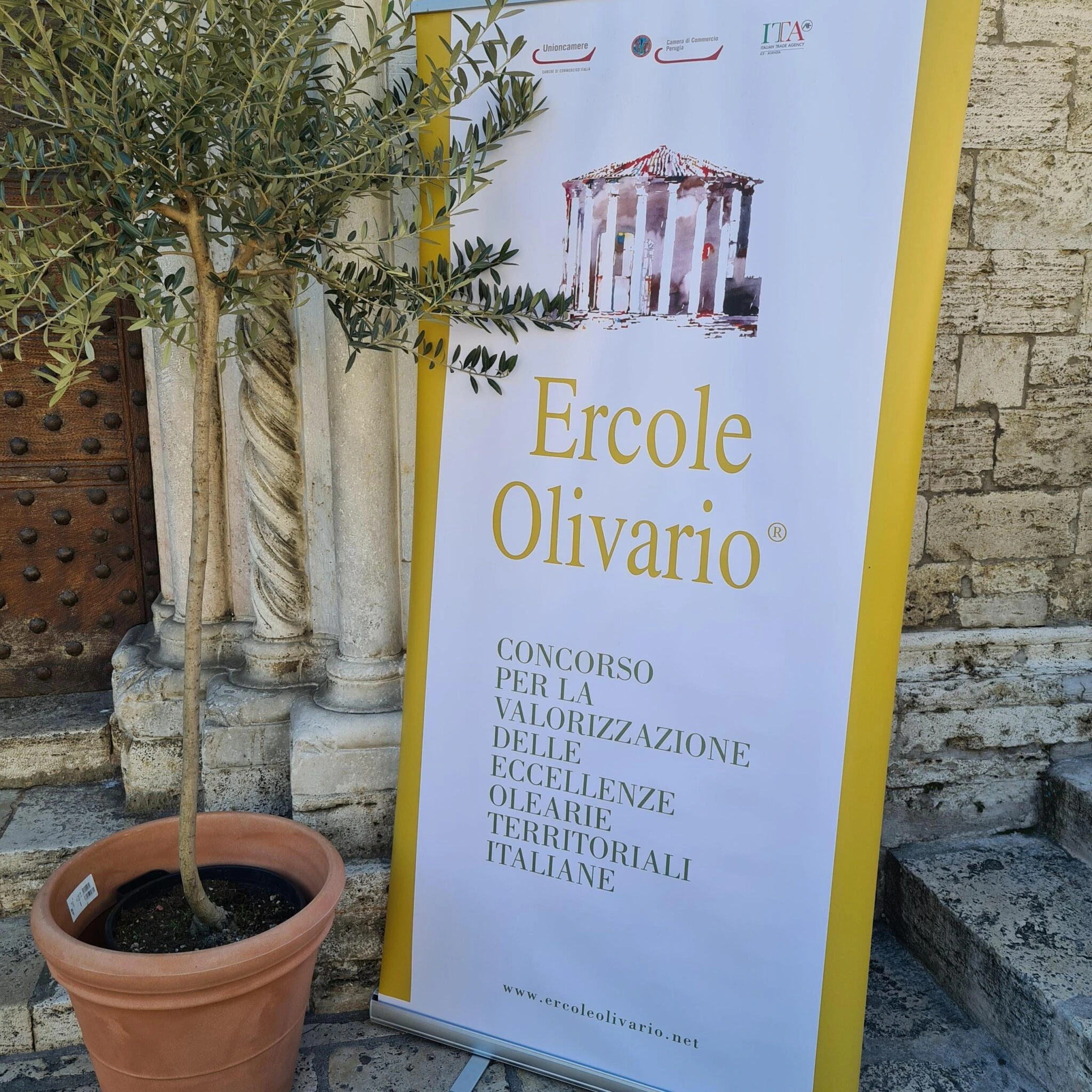 Banner ufficiale del concorso Ercole Olivario