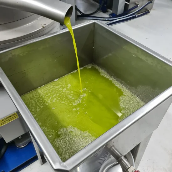 Olio extravergine di oliva che esce dal decanter del frantoio