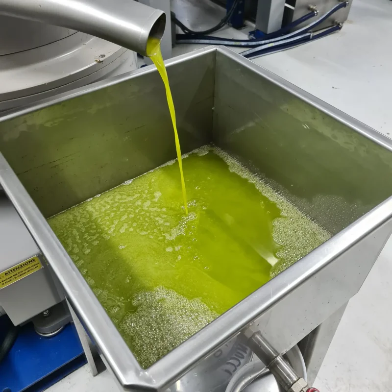 Olio extravergine di oliva che esce dal decanter del frantoio